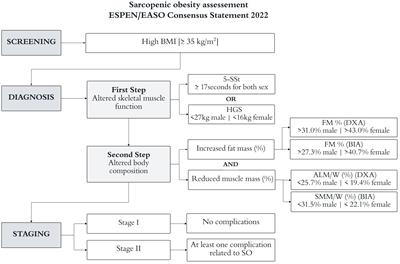 Analysis of sarcopenic obesity prevalence and diagnostic agreement according to the 2022 ESPEN and EASO Consensus in hospitalized older adults with severe obesity